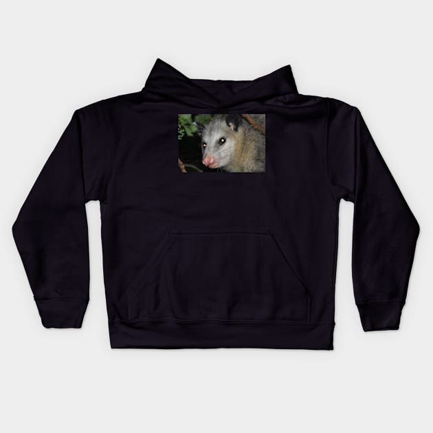 Possum Kids Hoodie by MarieDarcy